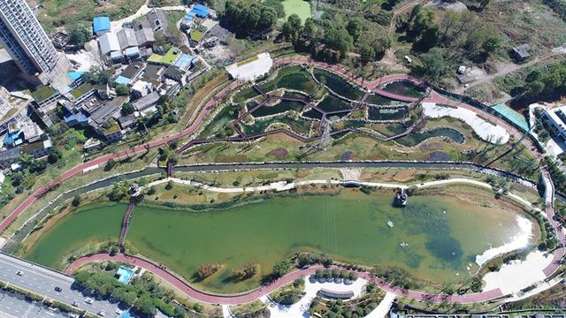 “臭水塘”變身“城市花園”！貴陽七彩湖生態(tài)濕地公園被媒體稱贊