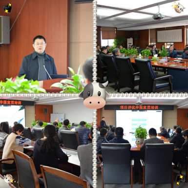 中恒學(xué)院組織開展項目評優(yōu)申報宣貫培訓(xùn)