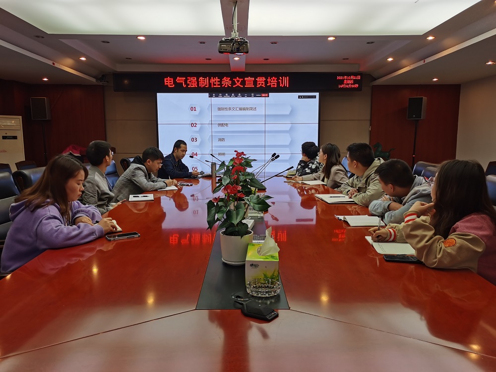 強(qiáng)條宣貫專題系列活動（一）——電氣強(qiáng)制性條文問題分析交流